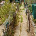 Mantener un huerto orgánico comunitario