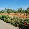 El modo de producir y vender alimentos también nos define