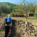 El gasto equivale a alimento