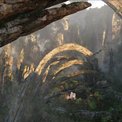 El impresionante mundo de Pandora (3)