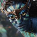 La bella Na'vi Neytiry, compañera inseparable de Jake Sully