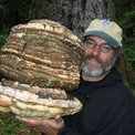 Micelios: hongos para salvar al mundo (y al ser humano)
