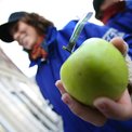 Gobierno corporativo: Apple, Nike y la Cumbre del Clima