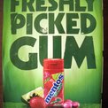 ¿Chicle con menta "recién recolectada"?